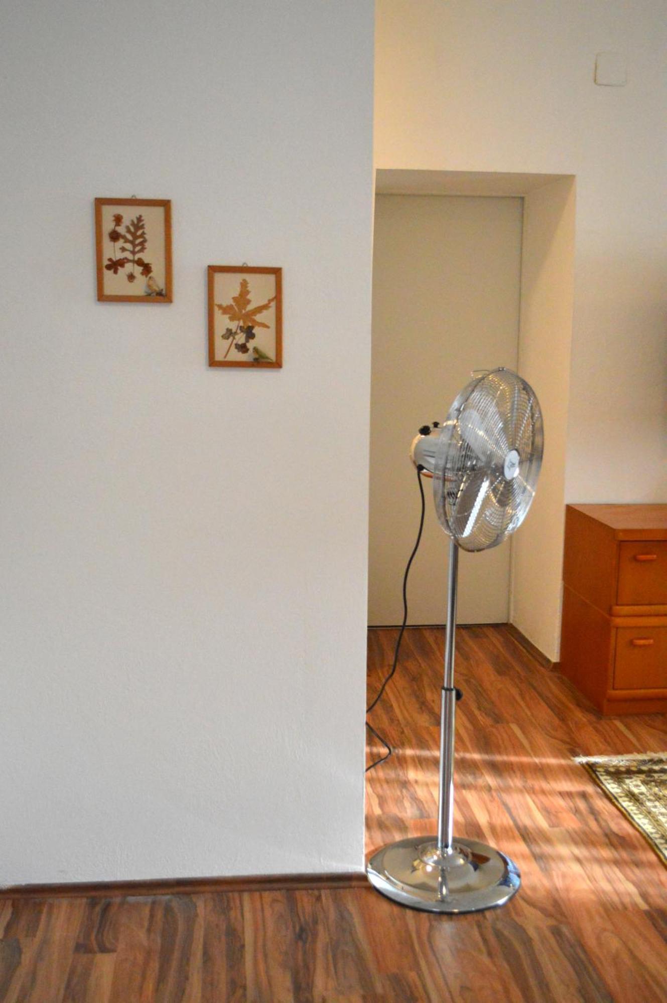 Gemuetliche Ferienwohnung - Prein An Der Rax エクステリア 写真